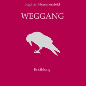 Stephan Flommersfeld: Weggang
